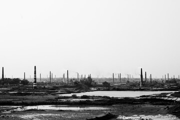 The environment is being polluted in brick kiln furnaces.