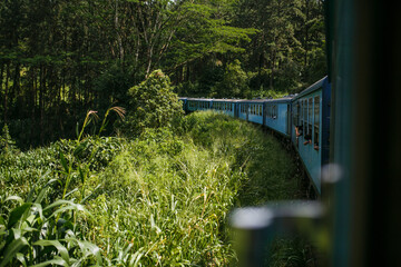 Train in Sri Lanka. Train running through the forest