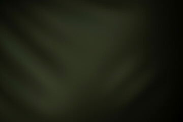 Black texture and abstract light