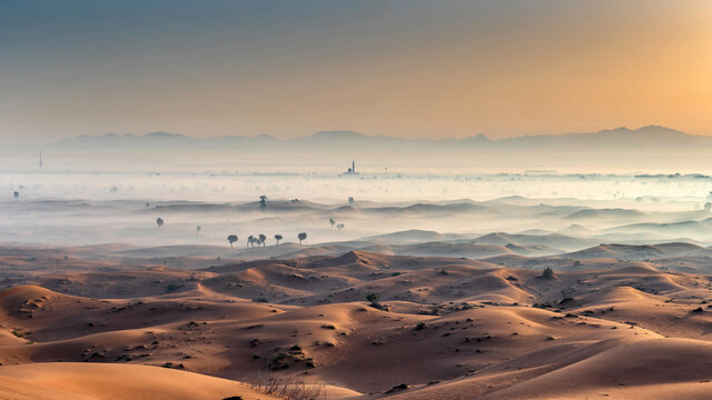 Maliha Foggy Morning 