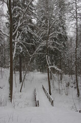 Fototapeta premium Park in the Abramtsevo estate in winter
