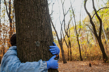 Hands in rubber gloves hug tree trunk