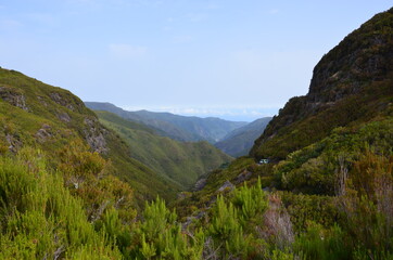 The lovely nature of the Portuguese island of Madeira