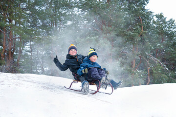 Boys sledding in a snowy forest. Outdoor winter fun for Christmas vacation.