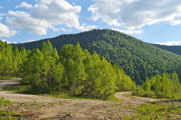 Ridder, Kazakhstan - 06.05.2013 : Trees, shrubs and various grasses grow on the hills in the...