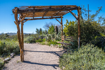 Fototapeta na wymiar An overlooking view of nature in Boyce Thompson Arboretum SP, Arizona
