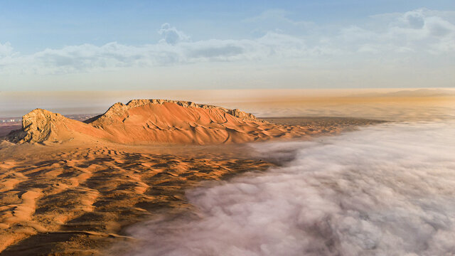 Fog Wave