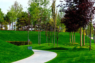 Curve walking path in a city park