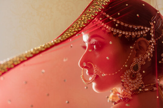 Profile of an Indian Bride through a veil	