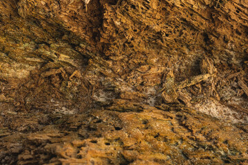 Weat wood texture