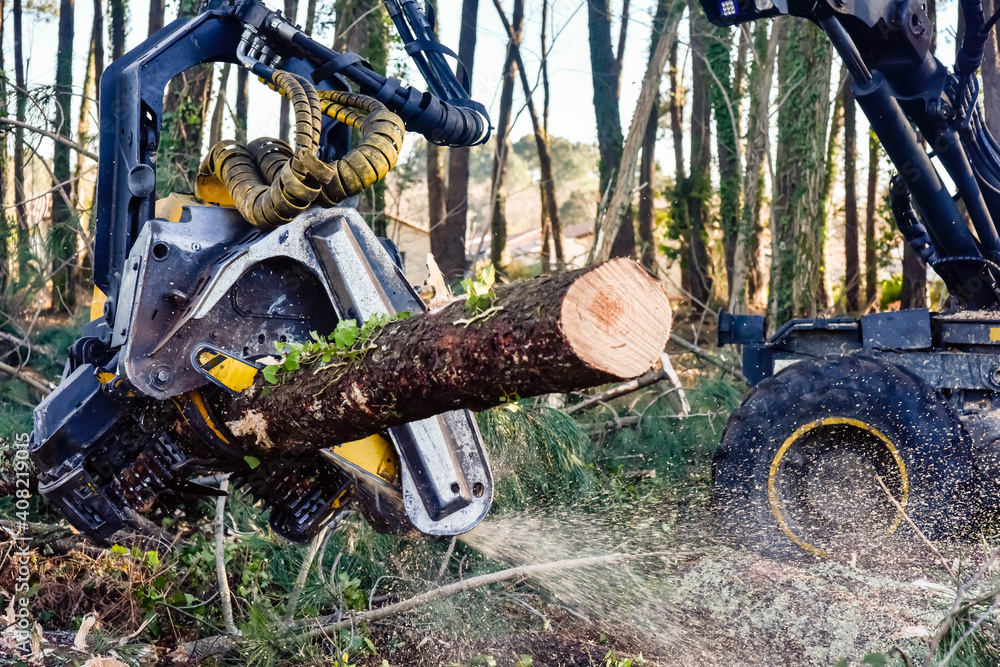 Poster machine for cutting tree trunks used in the forestry industry