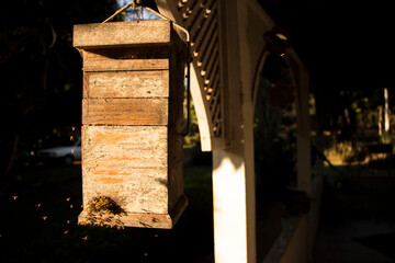 Wood case for honeycomb (that is inside it) with a lot of bees flying and producing honey in a bright day at a ranch house in brazilian's countryside
