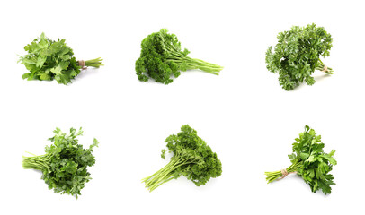 Fresh parsley on white background