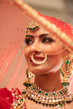 Beautiful Indian Bride under a veil	