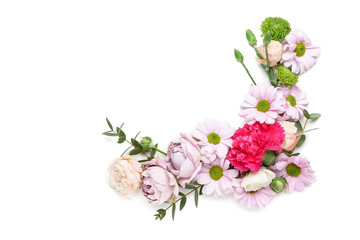 Beautiful flowers on white background