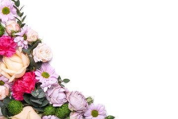 Beautiful flowers on white background