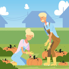 gardening, couple of farmers with harvest of big pumpkins vegetables cartoon
