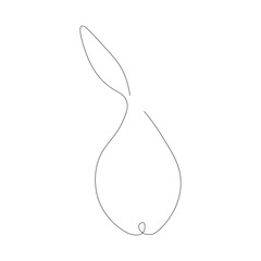 Pear fruit line drawing on white background, vector illustration