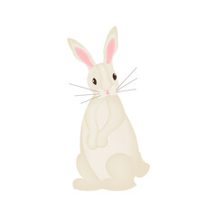 Cute Rabbit character. Happy Easter Bunny isolated on white background. Vector illustration.