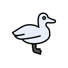 duck
