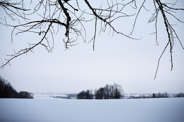 Fototapeta na wymiar Winter landscape of country fields and roads