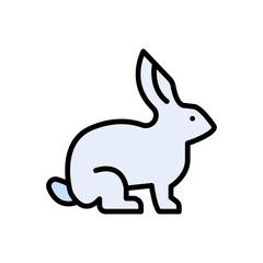 rabbit