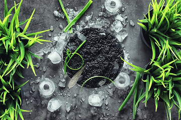 Fresh black fish roe. Beluga caviar served with ice.