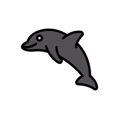 dolphin
