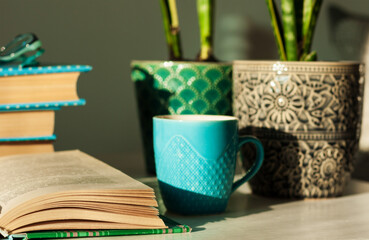 Distance home education: pile of books in colorful covers, glasses, cup of tea and Sansevieria (snake plant) in ceramic pots on a white table on the background of a bed with decorative pillows