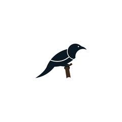 Bird silhoed