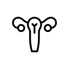 uterus