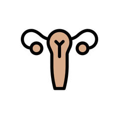 uterus