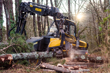 machine for cutting tree trunks used in the forestry industry
