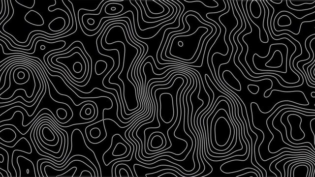 Topographic map moving fractal lines. Isolines Looped footage