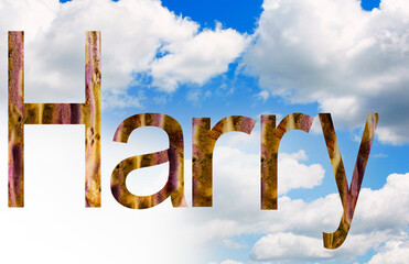 Name Harry in cloudscape