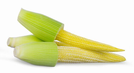 Baby corn isolated on  white background.