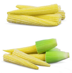Baby corn isolated on  white background.