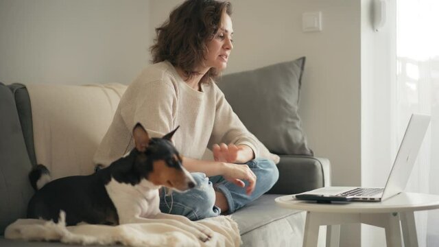 A young serious woman is taking a video call on a laptop while sitting on a couch with her cute basenji dog in a living room.