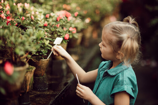 Child planting spring flowers. Little girl gardener plants azalea. Child taking care of plants. Gardening tools and water can for kids