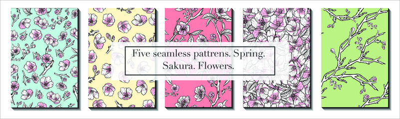 Five spring seamless patterns. Pastel pink cherry blossoms.  Endless texture for wallpaper, web page, fabric, wrapping paper, etc. Flowers, buds, branches and leaves. Cartoon styles. Sakura flowers