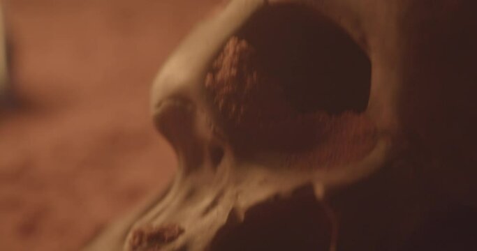Skull in sand cave with fire