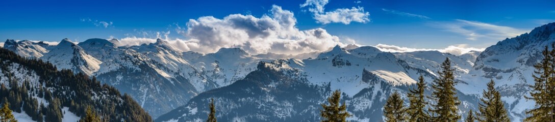 Fototapeta na wymiar Alpenpanorama Schweiz bei Schnee und strahlendem Sonnenschein im Winter 