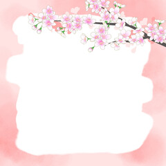 満開の桜の花　春