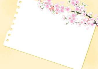 満開の桜の花　春