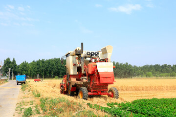 combine harvester working on a wheat field