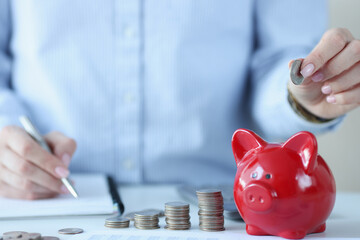 Person holds coins over piggy bank and makes notes in documents