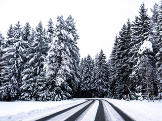 schneebeckete Straße in einer Winterlandschaft