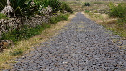 the hike up to the Monte Verde, on the island Santo Antao, Cabo Verde, in the month of December