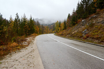 Road between the mountains in with trees among the autumns looking fog.