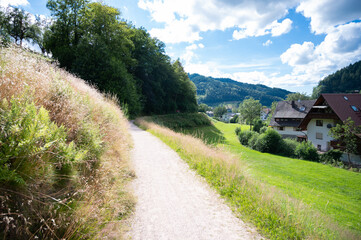 ein Wanderweg führt am Berliner entlang im Schwarzwald in Deutschland 